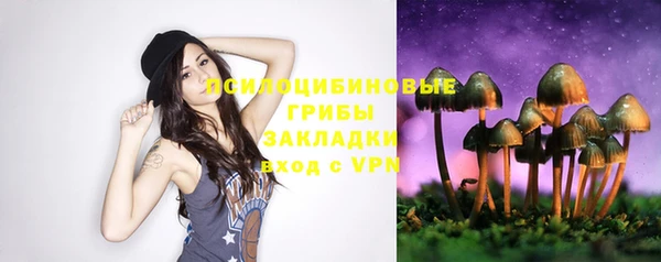 таблы Новодвинск