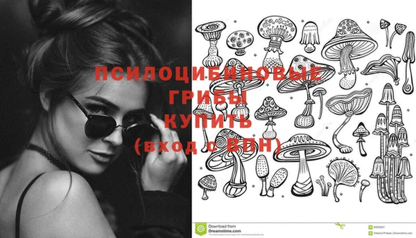 мет Богданович